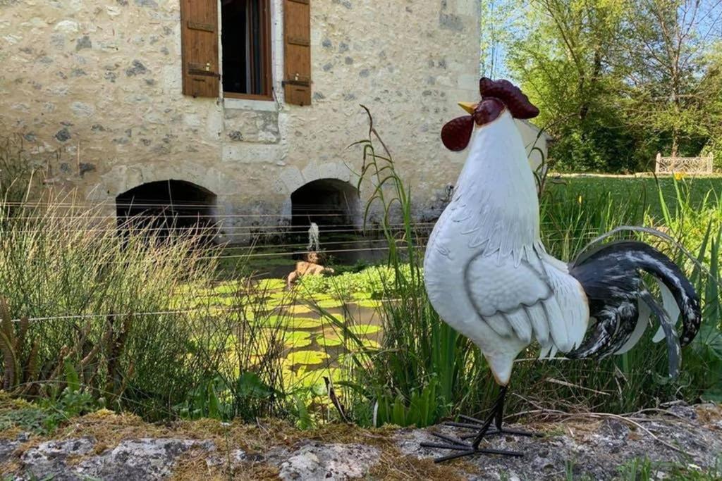 ברבסטה Gite Moulin De Lausseignan מראה חיצוני תמונה